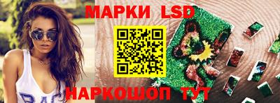 Альфа ПВП Бердск