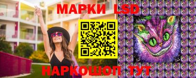 Альфа ПВП Бердск