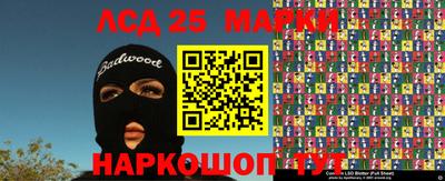 Альфа ПВП Бердск