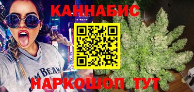 Альфа ПВП Бердск