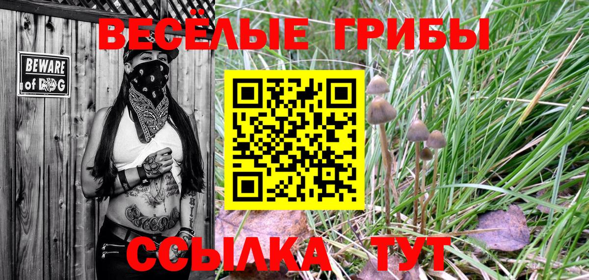 Кулебаки  Галлюциногенные грибы ЛСД  Галлюциногенные грибы MAGIC MUSHROOMS  купить   Вход с VPN 